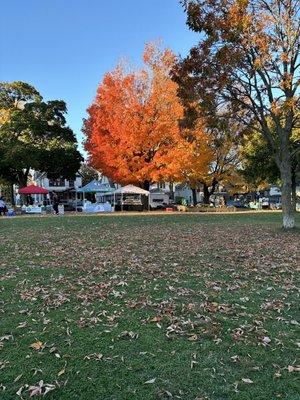 Last market of the season