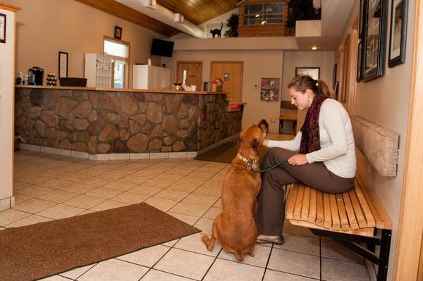 Lobby of the Prior Lake Pet Hospital.