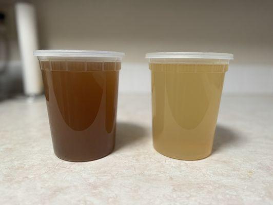 Bone broth (left) and Veggie broth (right)