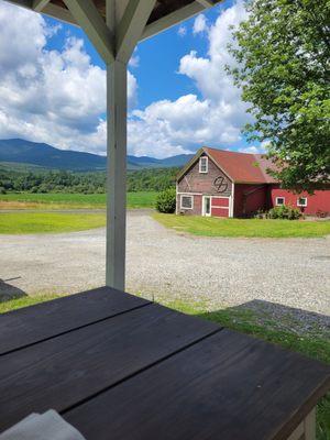 View from lunch table