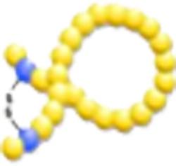 Peptide Amino Acid Bioconjugation