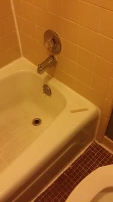 Giant noodle on bathtub? Why not!