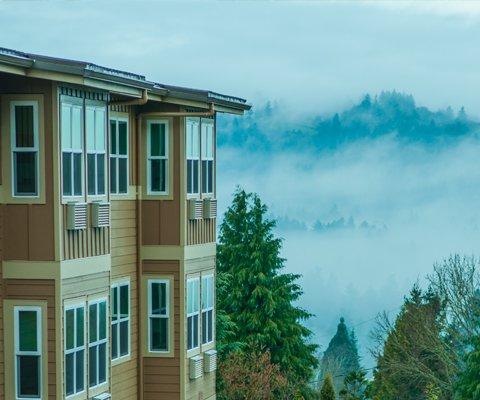 Elite Care's Oatfield Estates wrapped in fog near Mt. Tabor.