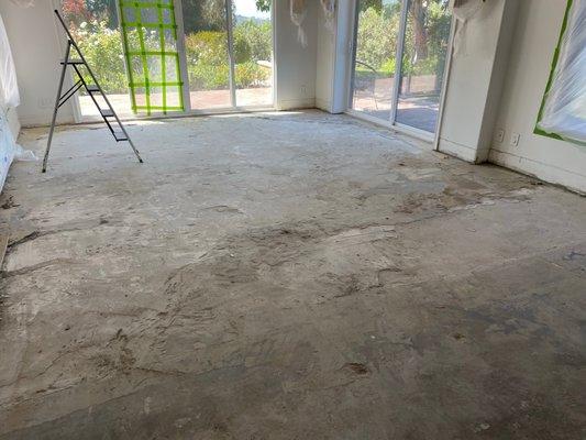 After hardwood had been removed, it was revealed half the room and soft porous concrete from some previous repair