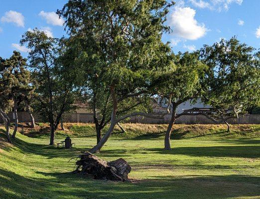 Cherry Cove Park