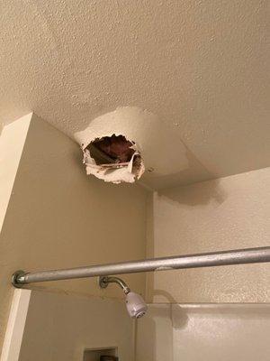 A leak from the upstairs plumbing. Going to 2 weeks and they haven't came to fix it.