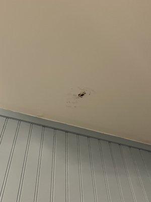 Smashed bug above our bed.