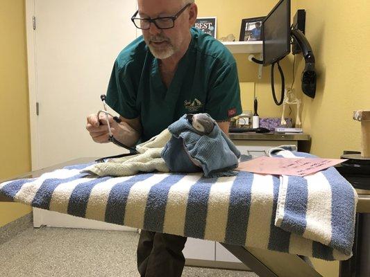 Well bird checkup and a beak & nail trim for Zabar, who celebrated his 50th birthday this last June!