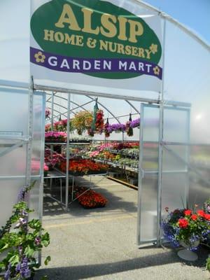 Each spring keep an eye out for our Alsip Nursery Garden Mart locations! We're bringing our famous flowers closer to you!