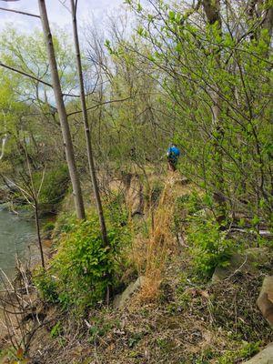 Percival's Island Natural Area