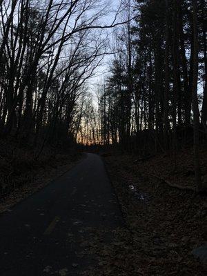 After sunset through the trees