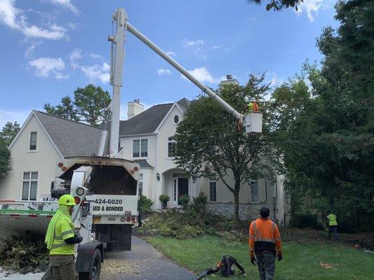 Tree trimming at Depford NJ