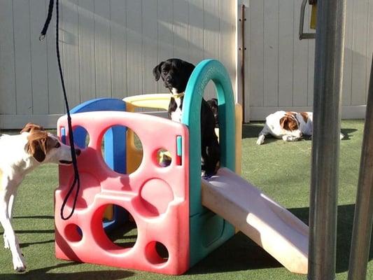 Nika playing in one of our play houses.