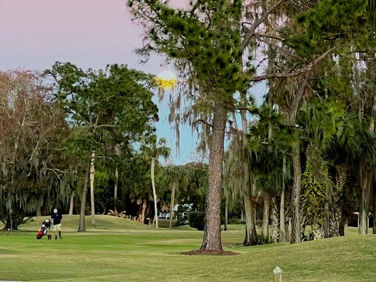 Moon over the Executive course.