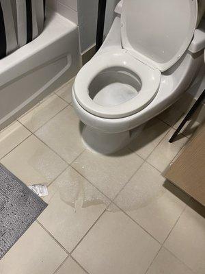 The toilet gurgled randomly about once a week or so and overflowed once.