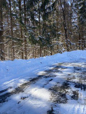 Plowed driveway after huge storm