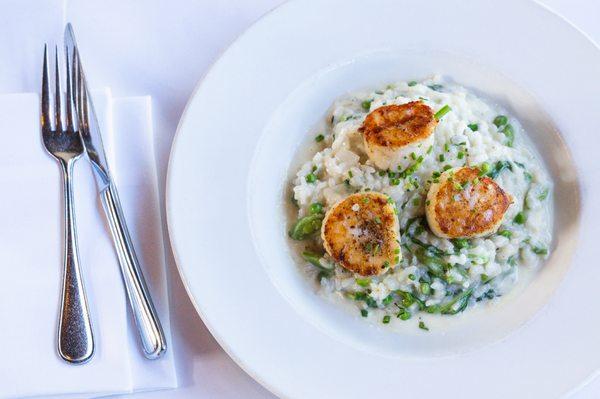 Sweet Pea Risotto with Day Boat Scallops