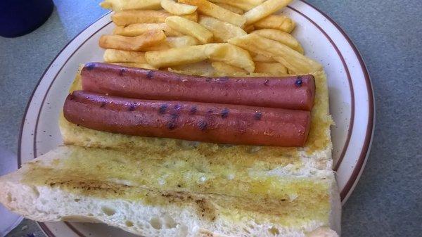 Hot dog and fries