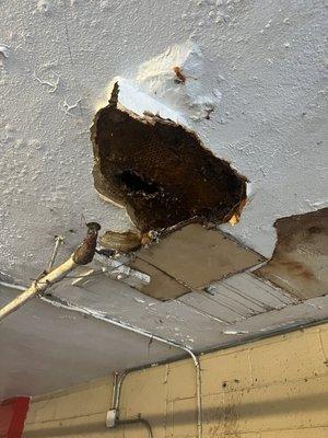 Leak in ceiling.