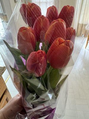 Fresh cut tulips