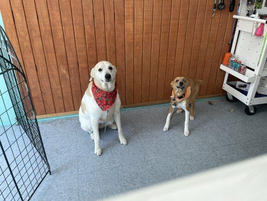 Peyton and Maggie post-groom