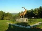 Whitcomb Summit Retreat