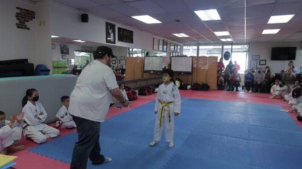 Golden rishi taekwondo