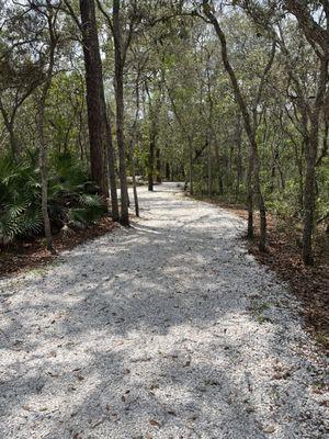 Nature walk trail