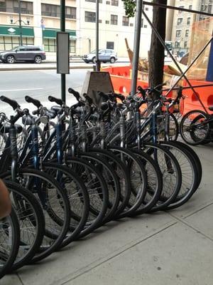 Giant tental bikes, $8 per hour.