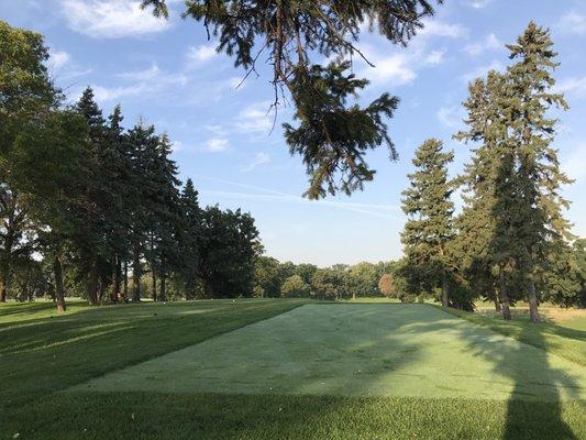 New 7th Tee Box