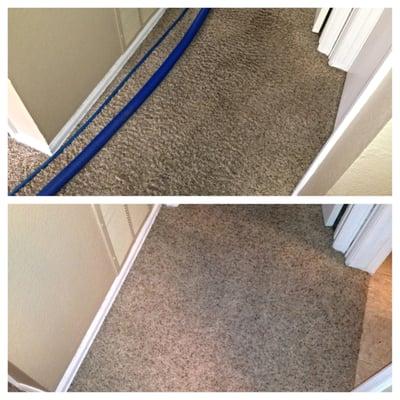 Sonya's Carpet and Air Duct Cleaning