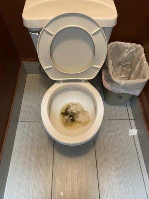 Crap-filled, clogged toilet.