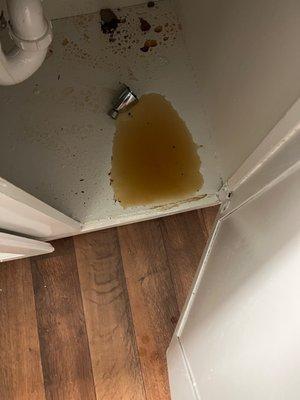 Dirty water in the bathroom under the sink