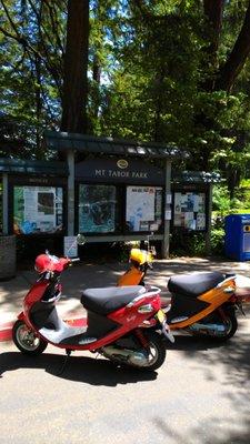 Mt Tabor and the areas around Japanese Gardens is a must on these little badasses.