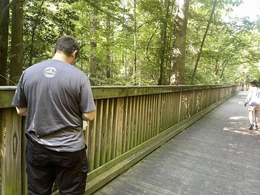 One of the bridges you cross on the Powhatan creek trail