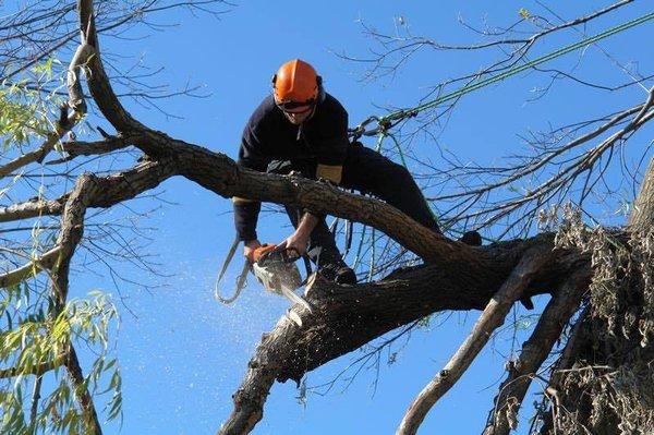 Garden Tree Service