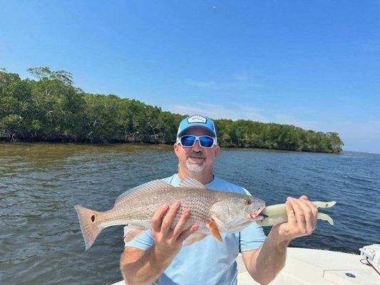 Redfish