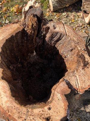 Free Stump removal on orders of $500 or more.