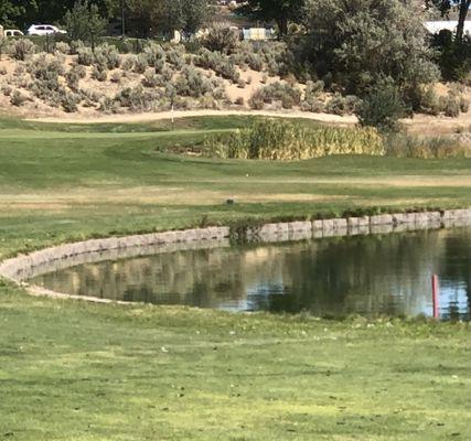 Water all over the front 9. Most of it not really in play.