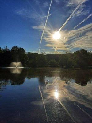 The sun reflecting on the water