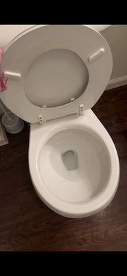 Master bath toilet that needed "replaced"