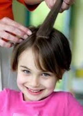 Lice Removal 90039, Lice Removal 90027 LICE SCHMICE 310-691-4145