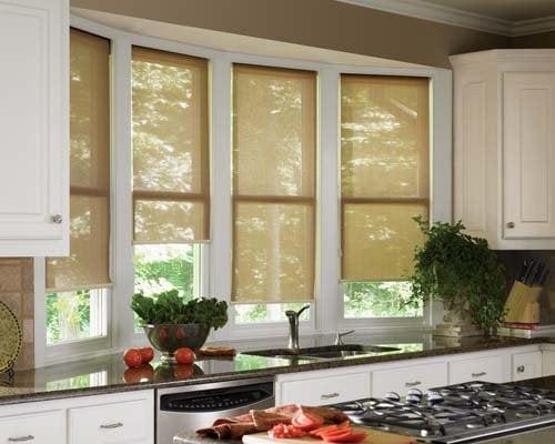 Hunter Douglas Designer Screen Shades - for privacy and light