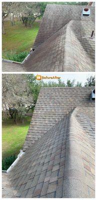 Roof Cleaning Before & After