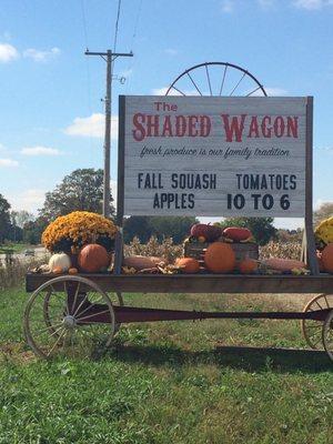 The Shaded Wagon