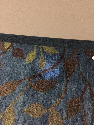 Bleach stain on commercial carpet