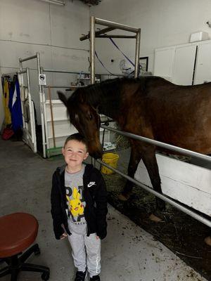 Shingle Springs Veterinary Clinic