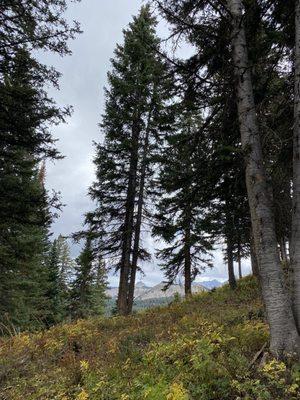 Hiking above Mancos Colorado