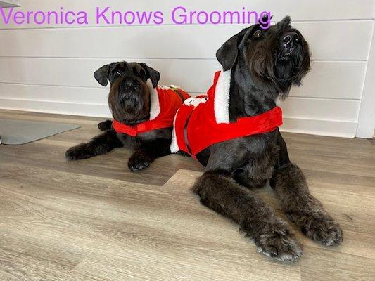 Veronica always Grooms our girls perfectly!