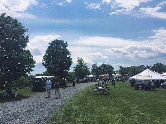 Vintage Virginia Wine Festival